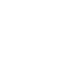 Marista Diocesano