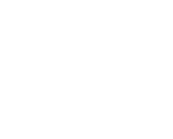 Marista Palmas