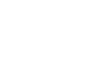 Marista Palmas