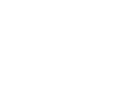 Marista São Luís