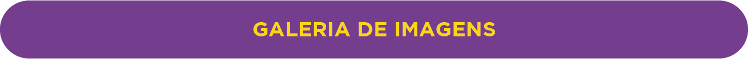 Encontro de gestores_PPT_alt1-16